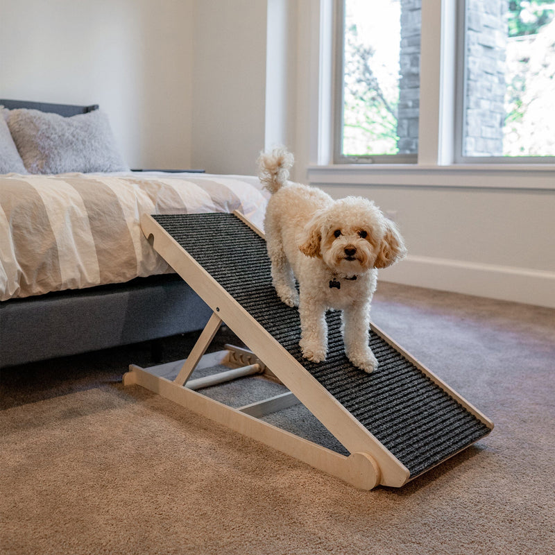 Adjustable Dog Ramp