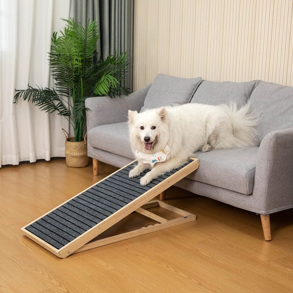 Adjustable Dog Ramp